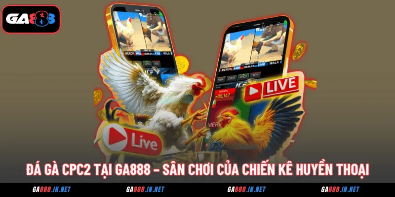 da ga cpc2 tai ga888 san choi cua nhung chien ke huyen thoai