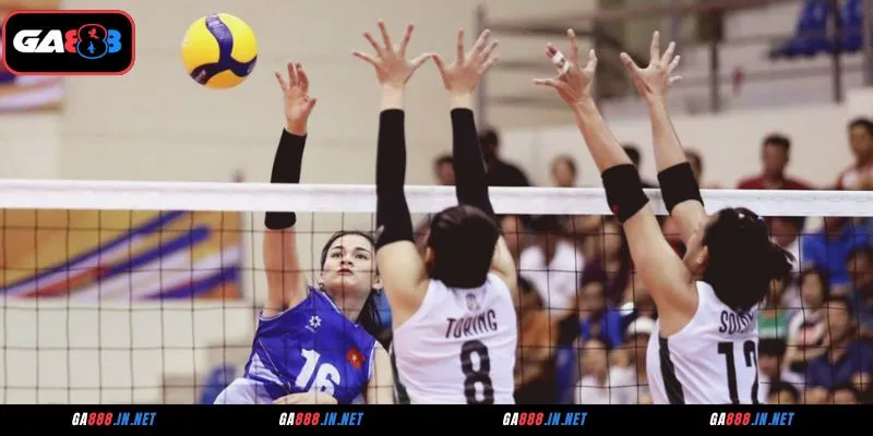 Kinh nghiệm cá cược bóng chuyền GA888 hiệu quả