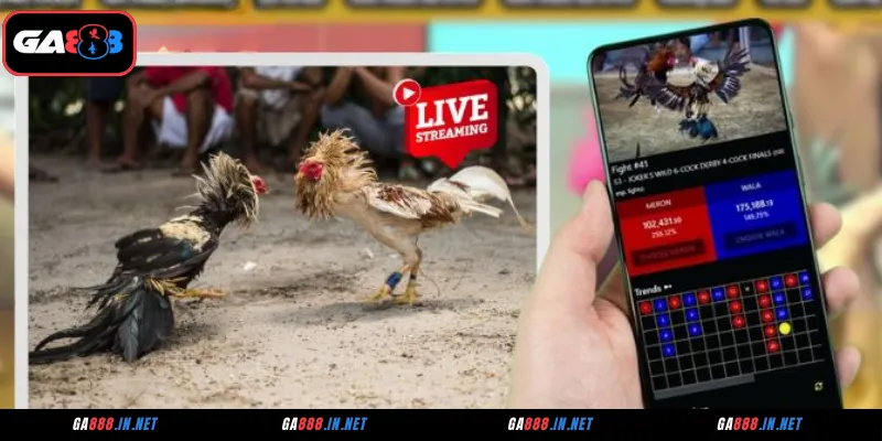 Lý do GA888 là trạm dừng chân lý tưởng cho tín đồ đá gà CPC2